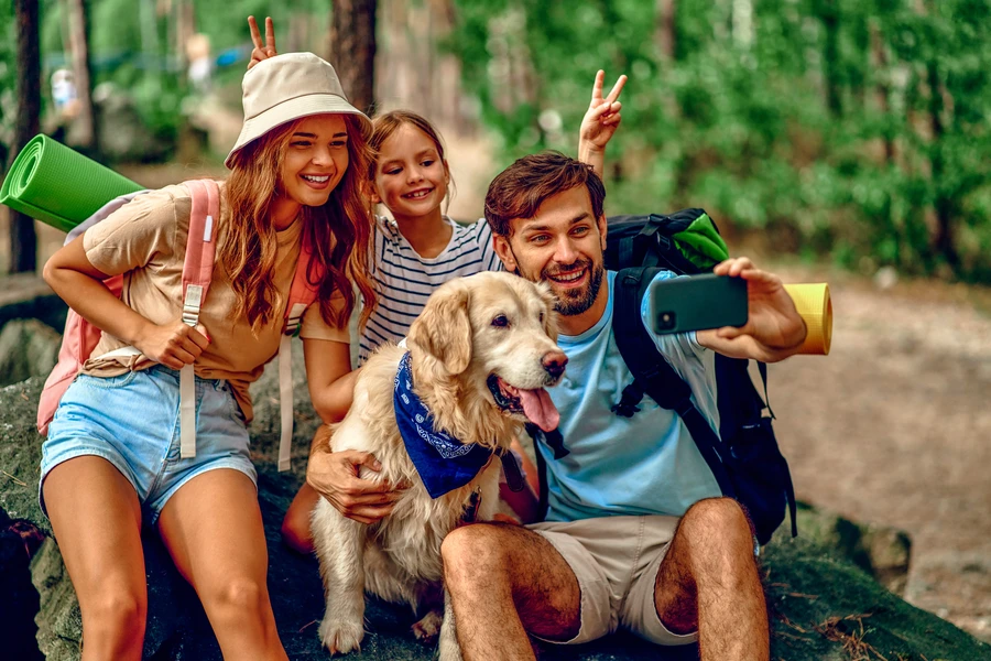 animaux camping douarnenez